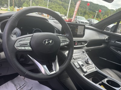 2023 Hyundai Santa Fe Calligraphy